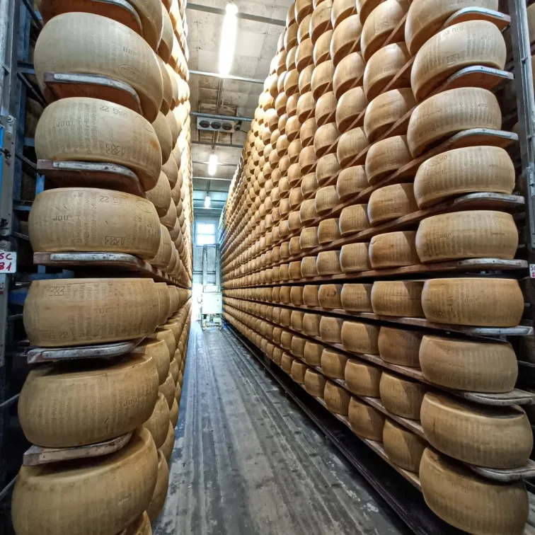 meraviglie-naturali-e-tour-Parmigiano